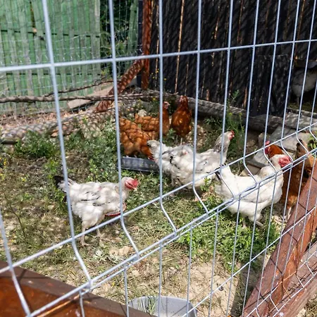 Daire Sunset Holidays - Boska Nora - Aneks