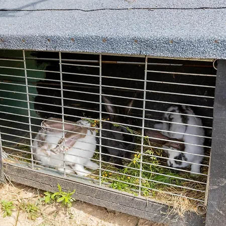 Sunset Holidays - Boska Nora - Aneks Komarno