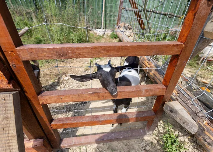 Sunset Holidays - Boska Nora - Aneks Komarno