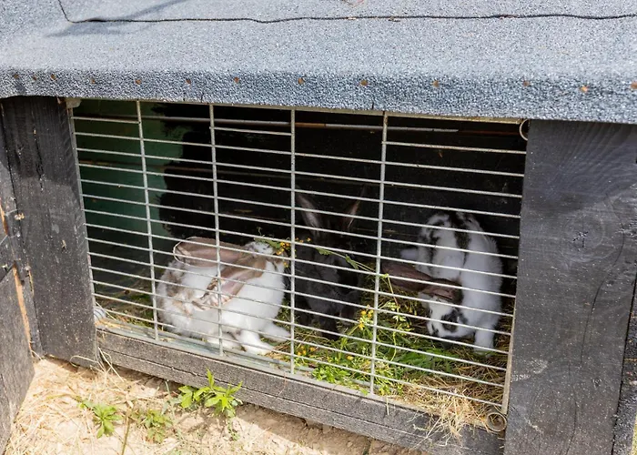 Sunset Holidays - Boska Nora - Aneks Komarno